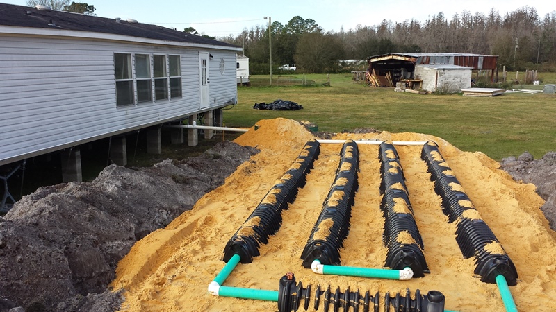 septic tank drain field tree far system install installation planted boulder systems should oak services away gravity clogged important safety