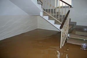sump pump replacement