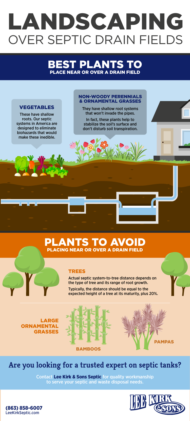 Perfect Plants to Place Over a Septic Drain Field