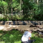 Drain Field Repair, Plant City, FL
