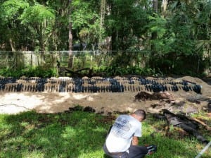 Drain Field Repair, Plant City, FL