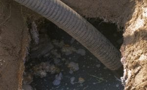 you need septic tank pumping