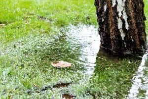 How to Tell if Your Septic Drain Field Needs Repair