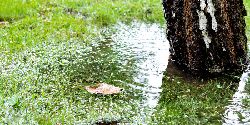 Three Signs That You Need Drain Field Repair